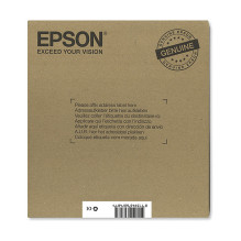 Epson Stag T1306 ink cartridge