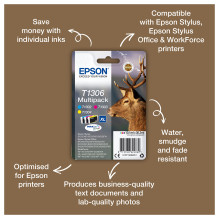 Epson Stag T1306 ink cartridge