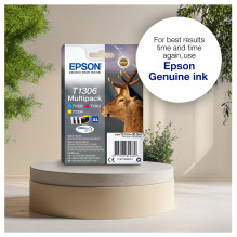 Epson Stag T1306 ink cartridge