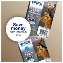 Epson Stag T1306 ink cartridge
