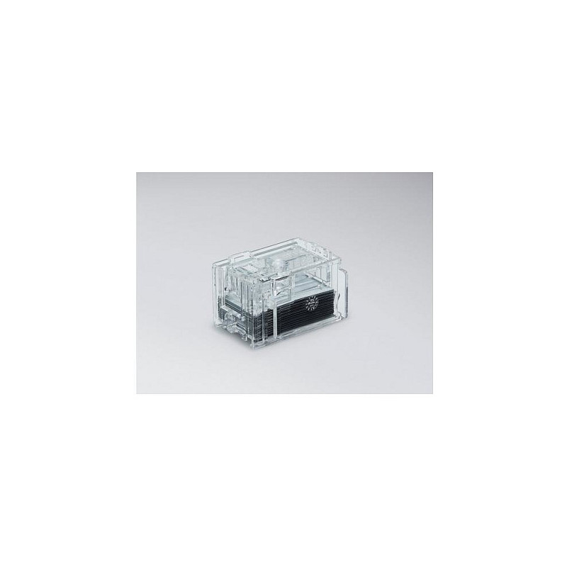 Epson C12C935401 sąsagėlių kasetė