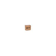 Zebra P1058930-013 print head