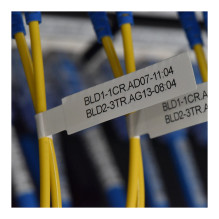 Brother PT-E920BT label printer