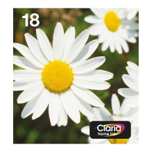 Epson Daisy C13T18064511...