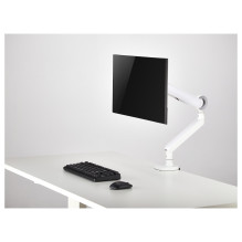 „Equip 650185“ monitoriaus laikiklis / stovas „Equip 650185“ monitoriaus laikiklis / stovas