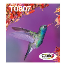 Epson Hummingbird T0807 ink...