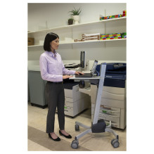 Ergotron Neo-Flex Laptop Cart Ergotron Neo-Flex Laptop Cart