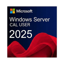 „Fujitsu Windows Server...