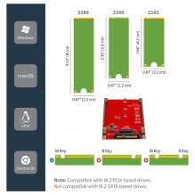 StarTech.com U2M2E125 sąsajos plokštės / adapteris StarTech.com U2M2E125 sąsajos plokštės / adapteris