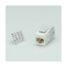ROLINE Cat.6 Keystone lizdas, RJ-45, neekranuotas, be įrankių, baltas ROLINE Cat.6 Keystone lizdas, RJ-45, neekranuotas, be įrankių, baltas