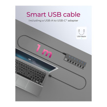 ICY BOX IB-HUB1701-C3 ICY BOX IB-HUB1701-C3