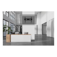 Neomounts WL35-750BL18 TV mount / stand