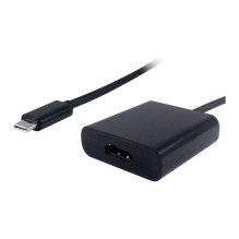 VALUE 12.99.3211 USB grafikos adapteris