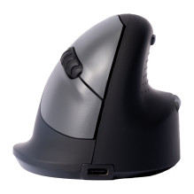 R-Go Tools RGOHBRSWLBL mouse