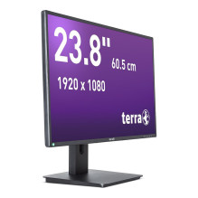 TERRA 3030250 kompiuterio monitorius