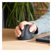 R-Go Tools RGOHELAWL pelė
