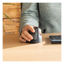 R-Go Tools RGOHEWL mouse