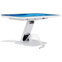 iiyama T2452MSC-W2AG computer monitor