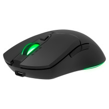SPEEDLINK SL-680102-BK pelė