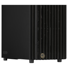 ASUS ProArt PA401 Wood METAL PWM (juodas)