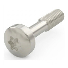 SCHROFF kaklo varžtas su Torx - KAKLO VARŽTAS 12.3 TORX NI 100 vnt.