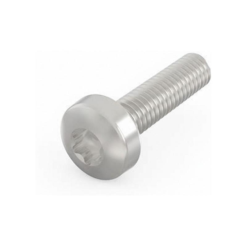 SCHROFF Varžtas su įgilinta galvute ir Torx veržle - TORX kairės galvutės varžtas 2,5x10 100 vnt.