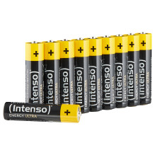 Intenso 7501910 household battery Intenso 7501910 household battery
