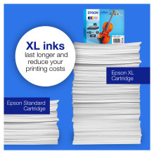 Epson C13T16P84510 rašalo kasetė Epson C13T16P84510 rašalo kasetė