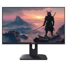 JAPANNEXT JN-I238FHD200F kompiuterio monitorius