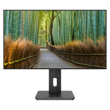 JAPANNEXT JN-27IPS4FLWQHDR-HSP kompiuterio monitorius JAPANNEXT JN-27IPS4FLWQHDR-HSP kompiuterio monitorius