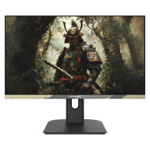 JAPANNEXT JN-IPS238FHD200F-HSP-CAMO kompiuterio monitorius