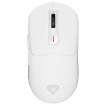 GENESIS NMG-2194 mouse
