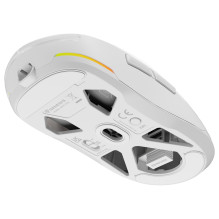 GENESIS NMG-2194 mouse