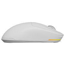 GENESIS NMG-2194 mouse