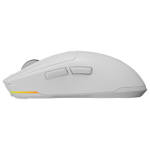 GENESIS NMG-2194 mouse