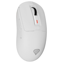 GENESIS NMG-2194 mouse
