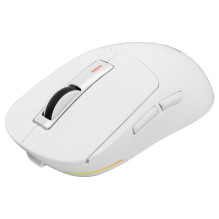 GENESIS NMG-2194 mouse