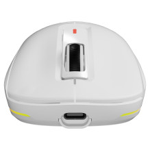 GENESIS NMG-2194 mouse
