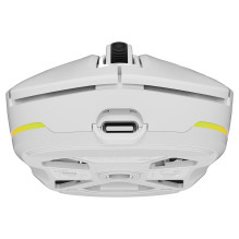 GENESIS NMG-2194 mouse