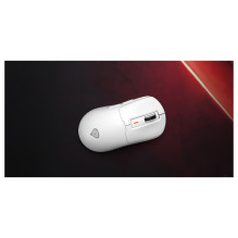 GENESIS NMG-2194 mouse