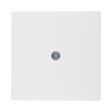 Hager 10191909 wall plate /...