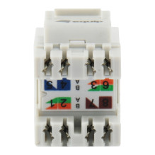 Equip 769213 keystone module