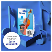 Epson 250 Violin Claria Photo HD ink cartridge
