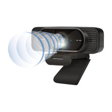 LogiLink UA0381 webcam
