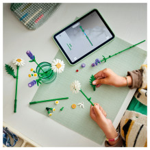 LEGO Botanicals Daisies 11508 LEGO Botanicals Daisies 11508