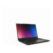 Schenker XMG EVO 15 M25bbc...