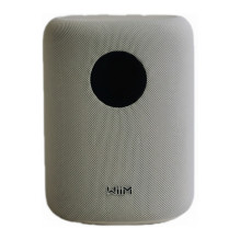 WiiM Sound WiiM Sound