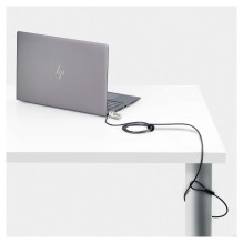 StarTech.com DUALKA10-LAPTOP-LOCK cable lock
