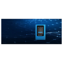 Kingston Technology IronKey Vault Privacy 80
