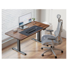 Equip 650815 standing desk frame Equip 650815 standing desk frame
